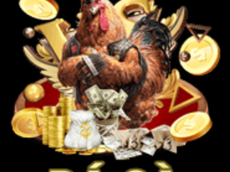 Hình ảnh minh họa các mẹo cá cược đá gà hiệu quả